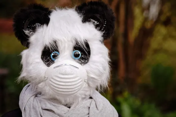 Οππα88888888 Καζίνο Υποστηριξη